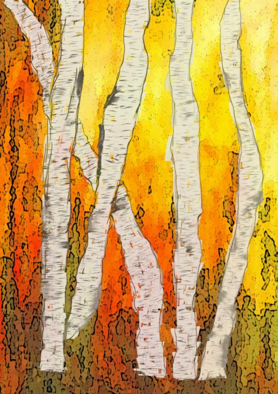 Click image for larger version. 

Name:	Birch in autumcolors.jpg 
Views:	206 
Size:	422.7 KB 
ID:	91120