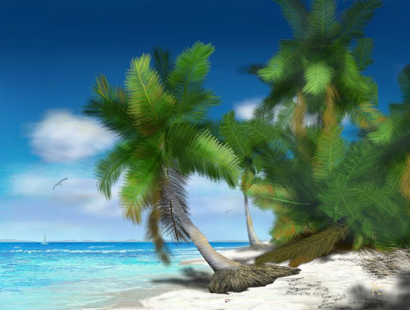 Click image for larger version. 

Name:	beach-palm-web.jpg 
Views:	225 
Size:	71.3 KB 
ID:	88931