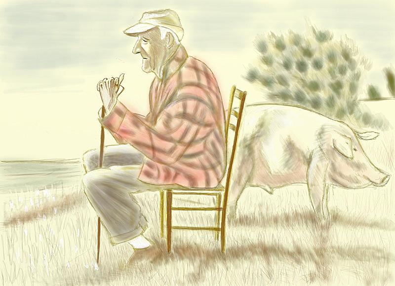 Click image for larger version. 

Name:	........Hog   Farmer    by    Mary  Whyte     .....Fin.jpg 
Views:	216 
Size:	265.1 KB 
ID:	73121
