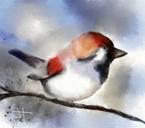 Name:  Watercolour Bird.jpg
Views: 683
Size:  173.8 KB