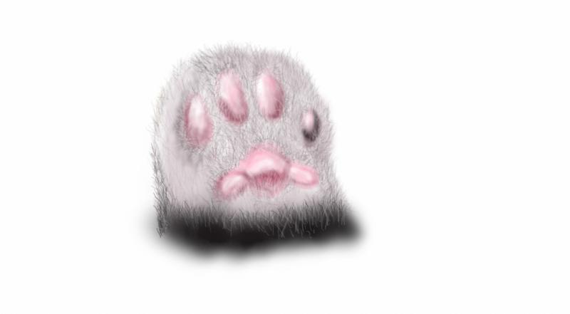 Click image for larger version. 

Name:	Cat Paw 01.jpg 
Views:	1 
Size:	74.0 KB 
ID:	103094