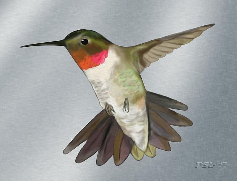 Click image for larger version. 

Name:	hummingbird-edited.jpg 
Views:	156 
Size:	95.2 KB 
ID:	92786