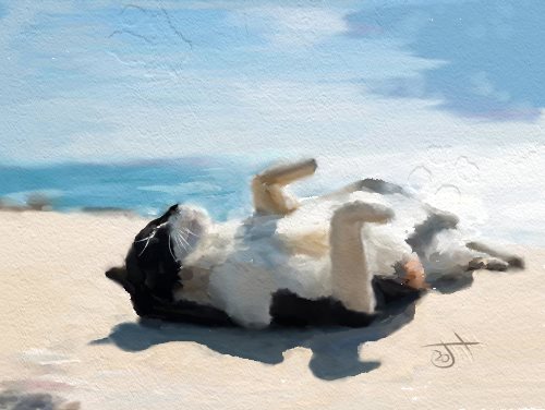 Name:  Cat on beach.jpg
Views: 138
Size:  34.7 KB