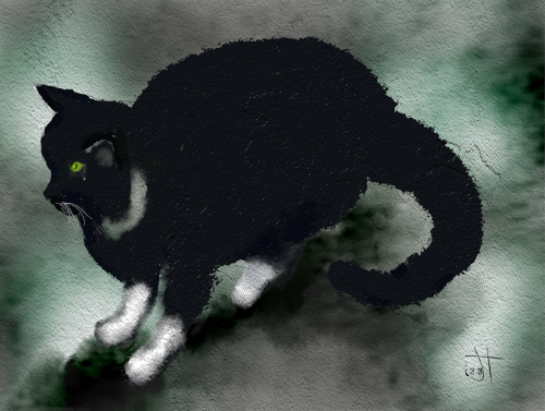 Name:  Fuzzy black catAR.png
Views: 84
Size:  398.5 KB