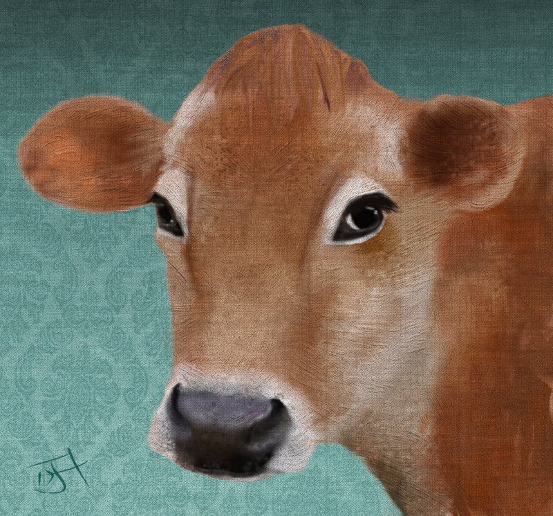 Name:  Jersey Cow.jpg
Views: 214
Size:  179.2 KB
