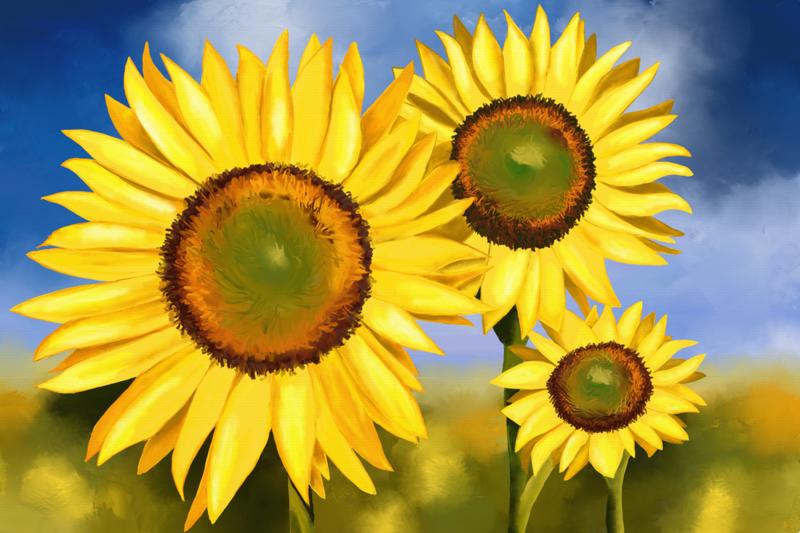 Click image for larger version. 

Name:	Sunflowers-ArtRage.jpg 
Views:	120 
Size:	115.5 KB 
ID:	97651