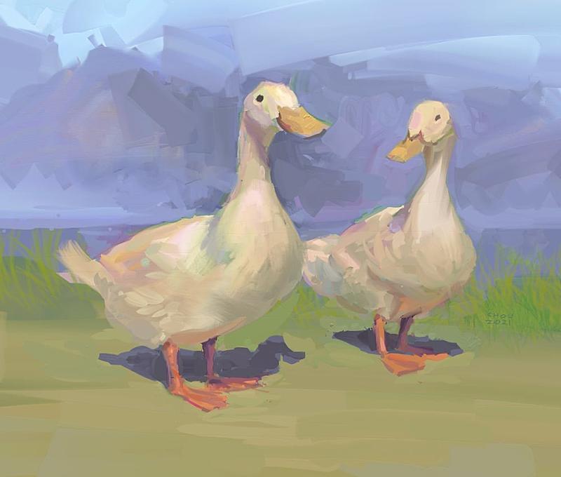 Click image for larger version. 

Name:	enrico bolcato-ducks.jpg 
Views:	18 
Size:	52.3 KB 
ID:	102024