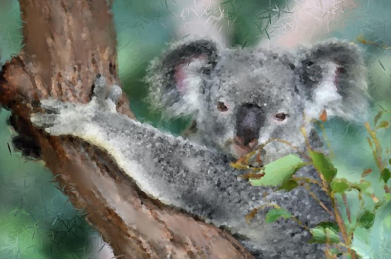 Click image for larger version. 

Name:	Koala Bear.jpg 
Views:	60 
Size:	169.2 KB 
ID:	102889