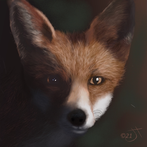 Name:  fox face2AR.jpg
Views: 229
Size:  140.4 KB