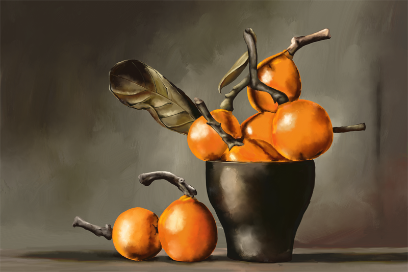 Name:  Still-Life-with-Oranges-72.png
Views: 3409
Size:  463.2 KB