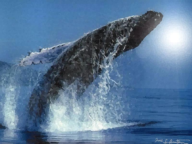 Click image for larger version. 

Name:	Whale In The Sun.jpg 
Views:	298 
Size:	176.5 KB 
ID:	96002