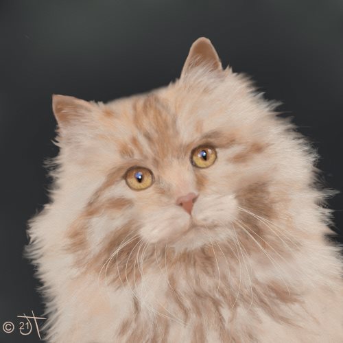 Name:  Ginger Cat.jpgAR.jpg
Views: 181
Size:  31.7 KB