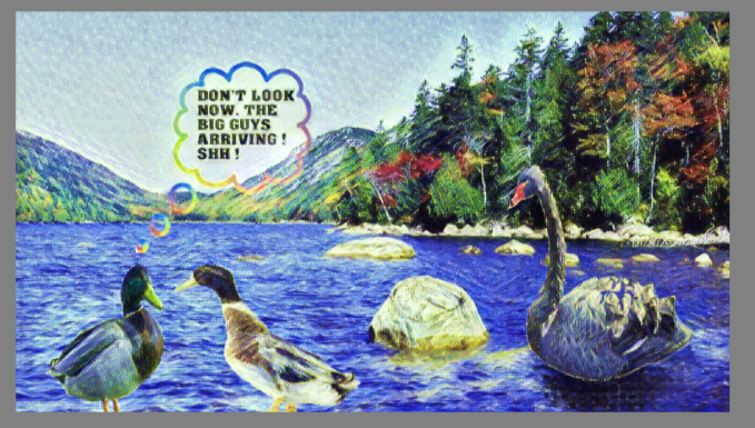 Click image for larger version. 

Name:	Ducks Gossiping.jpg 
Views:	78 
Size:	56.0 KB 
ID:	102701