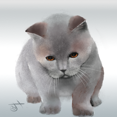 Name:  Pensive kitten.png
Views: 1960
Size:  240.1 KB