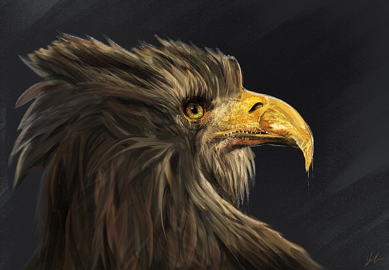 Click image for larger version. 

Name:	Eagle-Finished.jpg 
Views:	174 
Size:	215.0 KB 
ID:	92933
