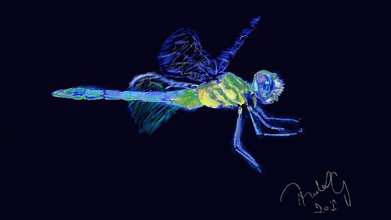 Click image for larger version. 

Name:	radiography of dragonfly.jpg 
Views:	108 
Size:	105.4 KB 
ID:	101138