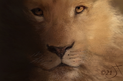 Name:  LionAR.jpg
Views: 768
Size:  103.8 KB