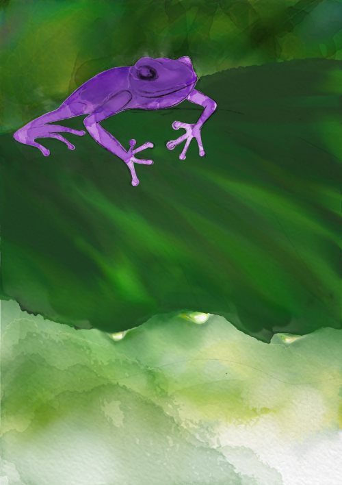 Name:  Tree frog pencil.jpg
Views: 509
Size:  40.1 KB
