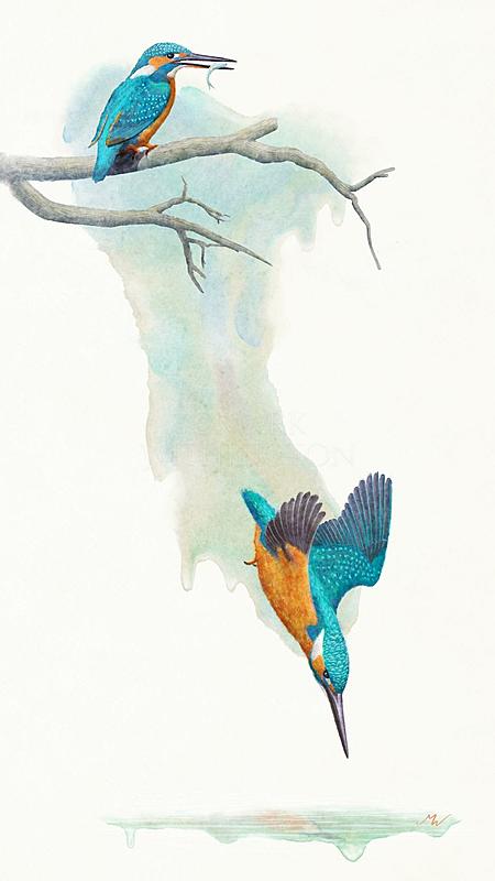 Click image for larger version. 

Name:	Kingfishers.jpg 
Views:	63 
Size:	70.0 KB 
ID:	103145