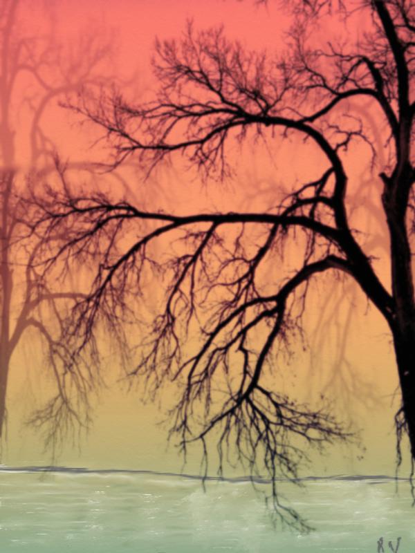 Click image for larger version. 

Name:	Trees in the Mist.jpg 
Views:	203 
Size:	88.4 KB 
ID:	94847