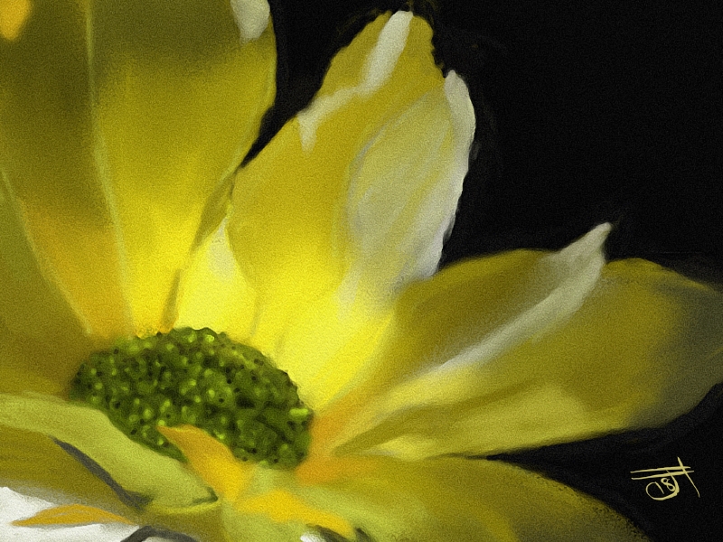 Name:  Sunflower.jpg
Views: 263
Size:  414.8 KB