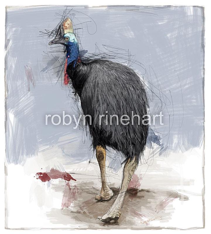 Click image for larger version. 

Name:	cassowary.JPG 
Views:	255 
Size:	107.8 KB 
ID:	94571