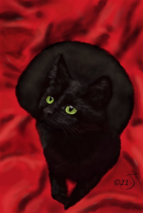 Name:  Black Cat #3AR.jpg
Views: 258
Size:  28.9 KB