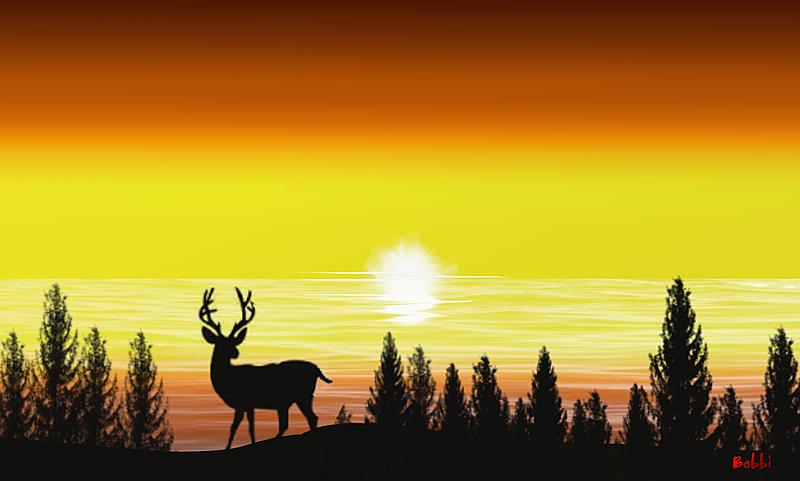 Click image for larger version. 

Name:	Forest Sunset.jpg 
Views:	247 
Size:	116.2 KB 
ID:	90104