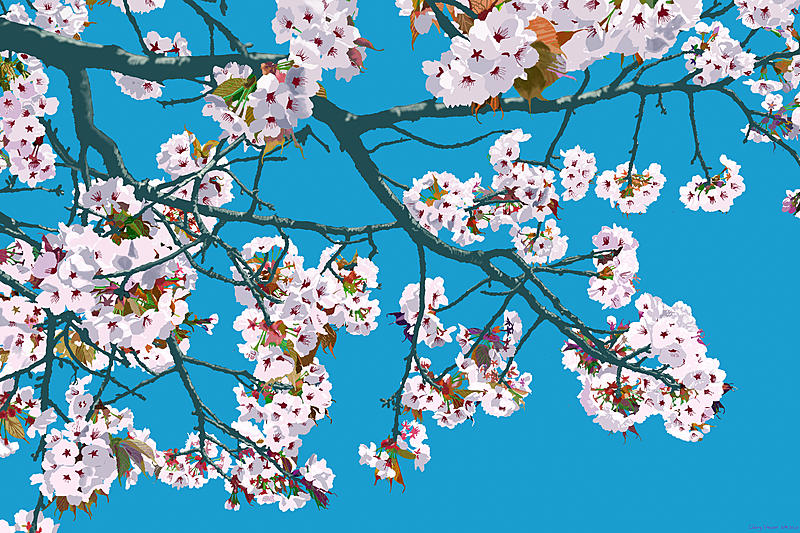Click image for larger version. 

Name:	Spring Blossom.jpg 
Views:	157 
Size:	507.6 KB 
ID:	98953