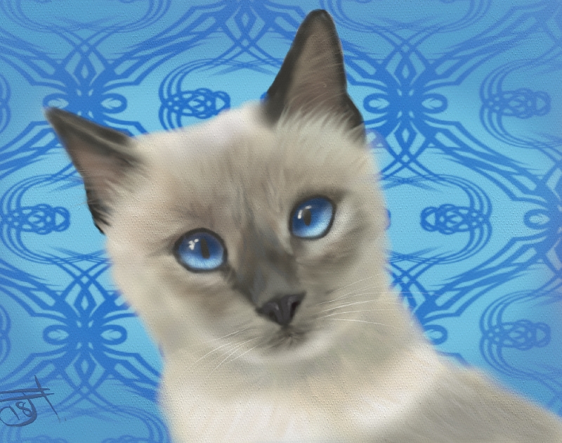 Name:  Siamese cat.jpg
Views: 452
Size:  379.9 KB