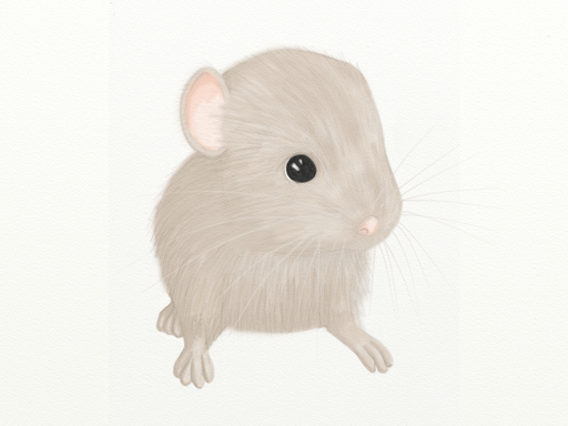 Name:  Mouse 03c 512px.png
Views: 444
Size:  220.2 KB