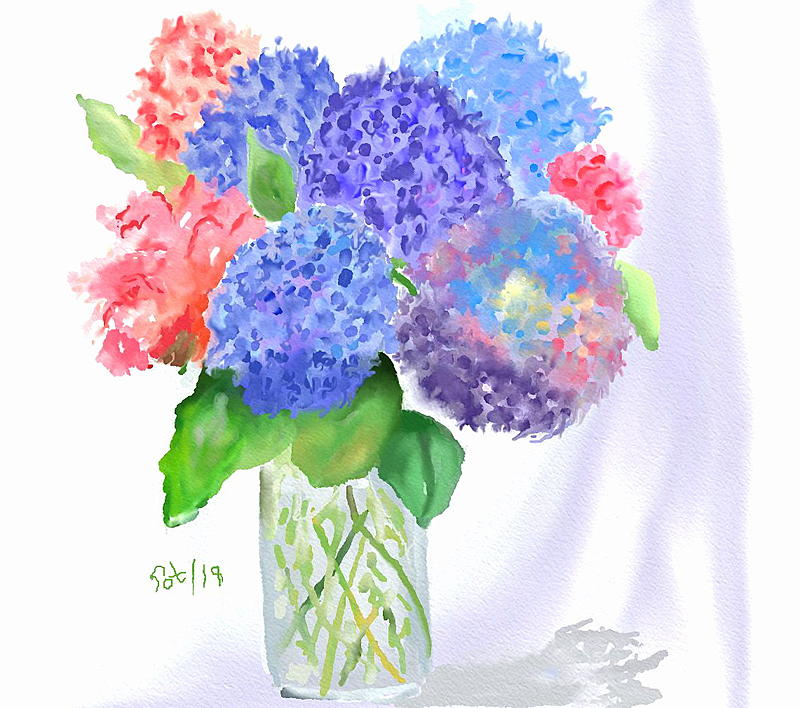 Click image for larger version. 

Name:	Hydrangeas.jpg 
Views:	194 
Size:	216.4 KB 
ID:	95350