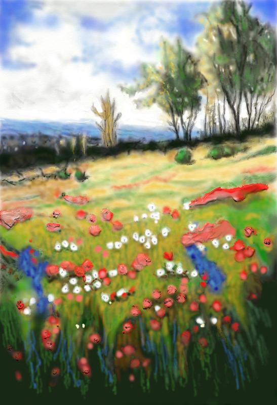Click image for larger version. 

Name:	Flowers   in   the   Meadow    By    Peter   Hulsey     FINN    3      .jpg 
Views:	130 
Size:	93.2 KB 
ID:	96342
