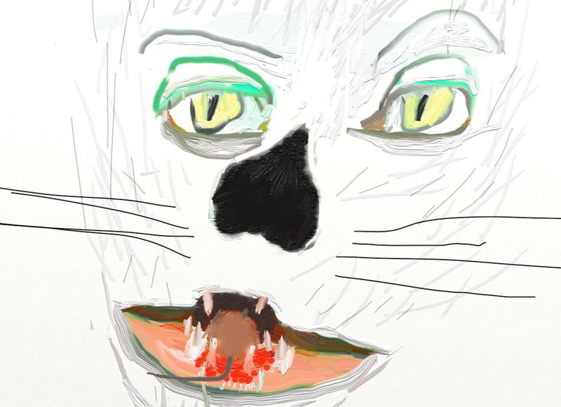 Click image for larger version. 

Name:	A    Cat    By    My      Mouse    aah    Sorry  Mouse.jpg 
Views:	151 
Size:	90.9 KB 
ID:	77358