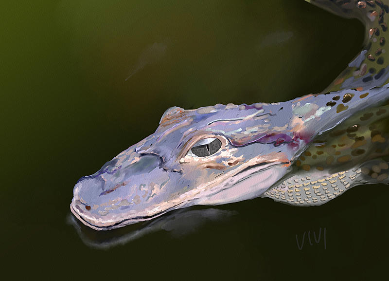 Click image for larger version. 

Name:	Alligator-2-2-1536.jpg 
Views:	102 
Size:	137.6 KB 
ID:	101829