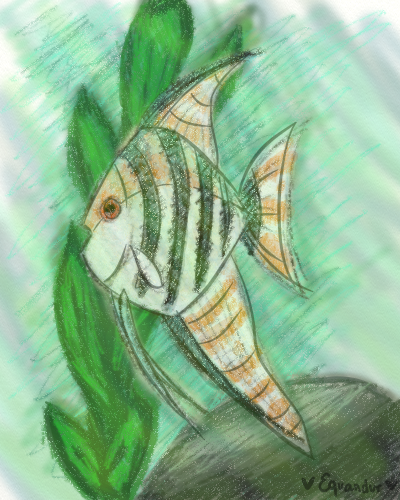 Click image for larger version. 

Name:	Angel Fish.jpg 
Views:	204 
Size:	33.0 KB 
ID:	91782