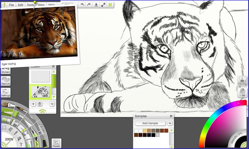 Click image for larger version. 

Name:	sleepy tiger c2.jpg 
Views:	259 
Size:	142.9 KB 
ID:	90323