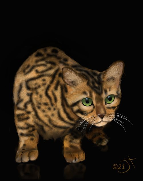 Name:  Bengal catAR.jpg
Views: 161
Size:  35.6 KB