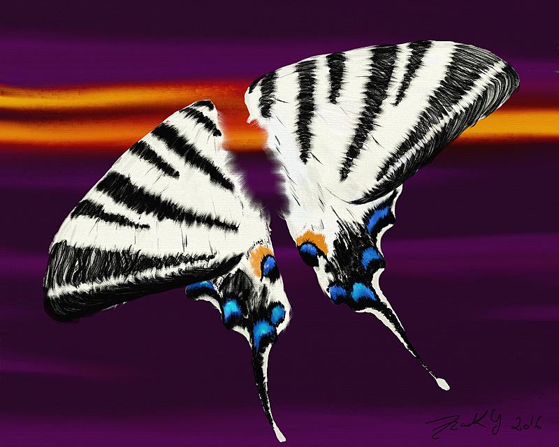 Click image for larger version. 

Name:	butterfly_fin.jpg 
Views:	166 
Size:	406.2 KB 
ID:	90429