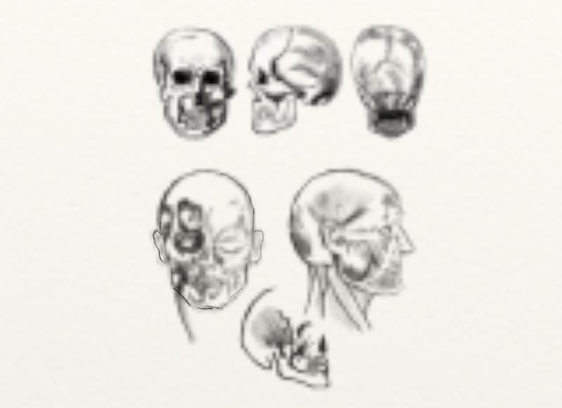 Click image for larger version. 

Name:	Untitled   Loomis   Skull's.jpg 
Views:	155 
Size:	56.4 KB 
ID:	82964