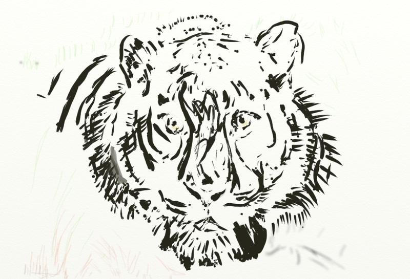 Click image for larger version. 

Name:	Hi    June   is it a Tiger  found in Morris  file just a trace  ok.jpg 
Views:	147 
Size:	90.0 KB 
ID:	93302