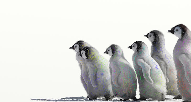 Click image for larger version. 

Name:	Penguins.jpg 
Views:	143 
Size:	181.5 KB 
ID:	91718