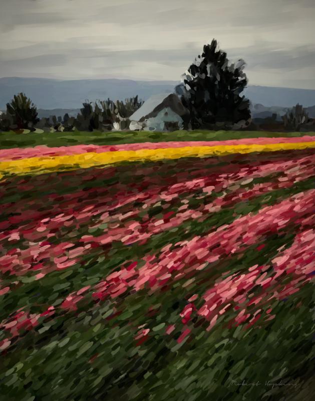 Click image for larger version. 

Name:	Tulip Farm.jpg 
Views:	189 
Size:	301.8 KB 
ID:	95075