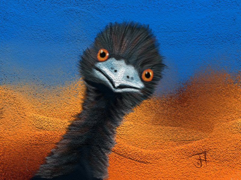Name:  Emu #1-th.jpg
Views: 163
Size:  155.1 KB