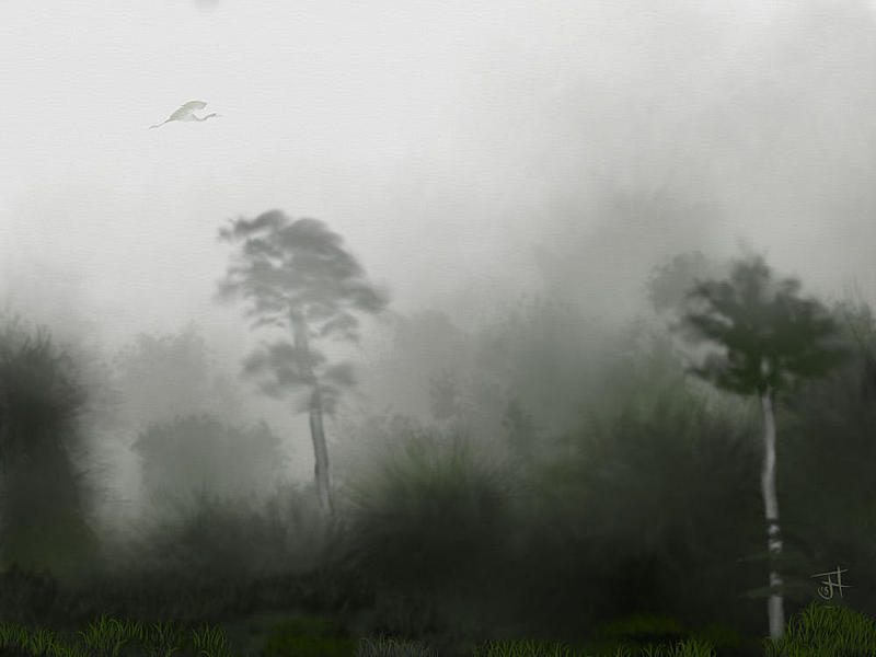 Click image for larger version. 

Name:	Misty Landscape-th.jpg 
Views:	192 
Size:	48.6 KB 
ID:	89080