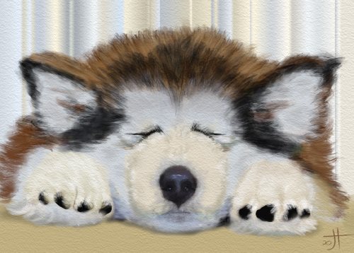 Name:  SleepingAR dog.jpg
Views: 160
Size:  39.6 KB
