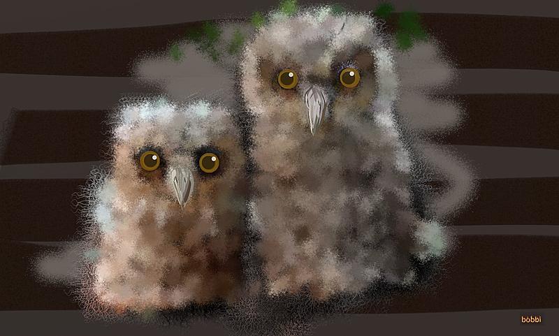 Click image for larger version. 

Name:	fuzzy owlets.jpg 
Views:	172 
Size:	249.9 KB 
ID:	90887