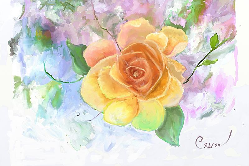 Click image for larger version. 

Name:	Yellow Rose resized.jpg 
Views:	150 
Size:	206.3 KB 
ID:	100678
