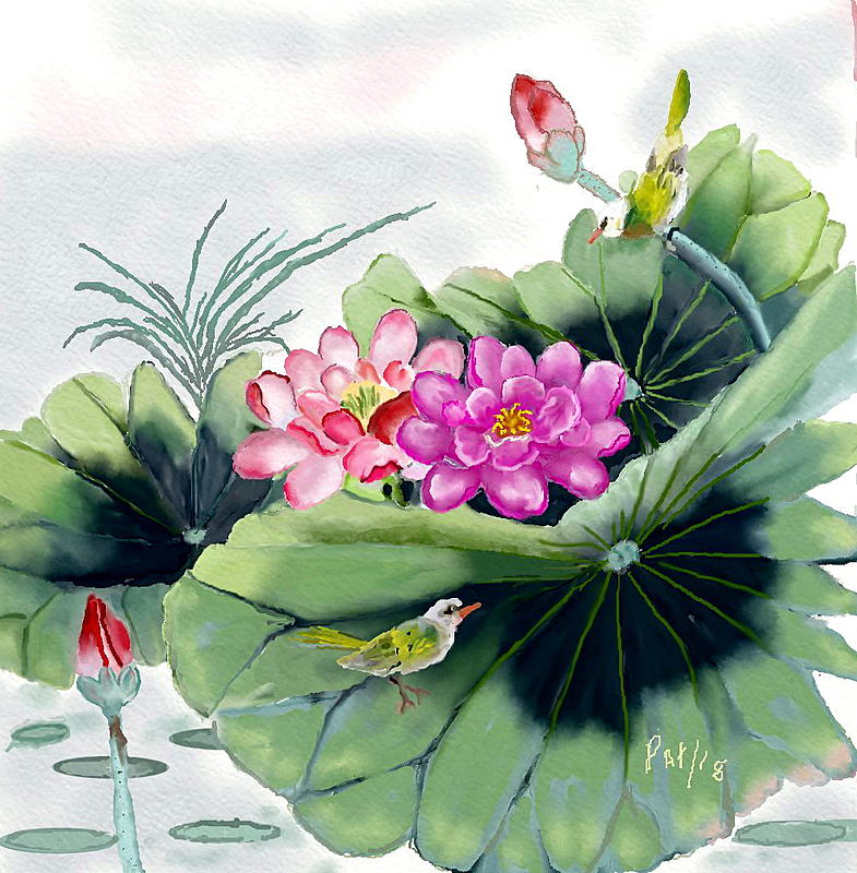 Click image for larger version. 

Name:	Water Lillies.jpg 
Views:	172 
Size:	222.9 KB 
ID:	95417