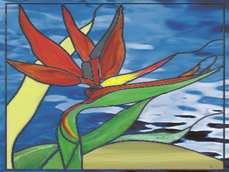 Click image for larger version. 

Name:	Bird of paradise.jpg 
Views:	143 
Size:	61.4 KB 
ID:	91673